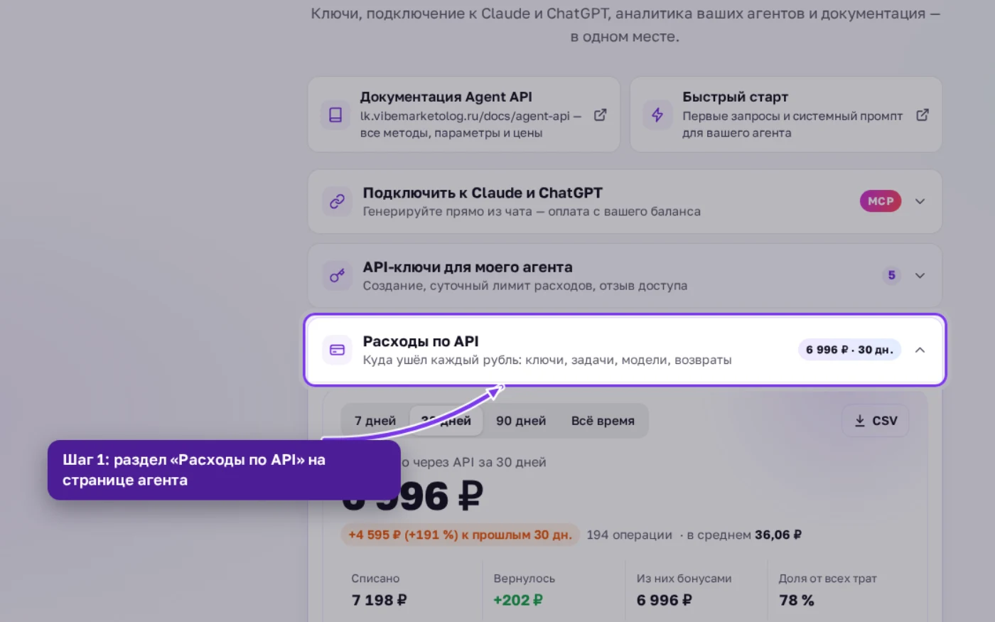 Раздел «Расходы по API» на странице агента в кабинете Вайб-Маркетолога