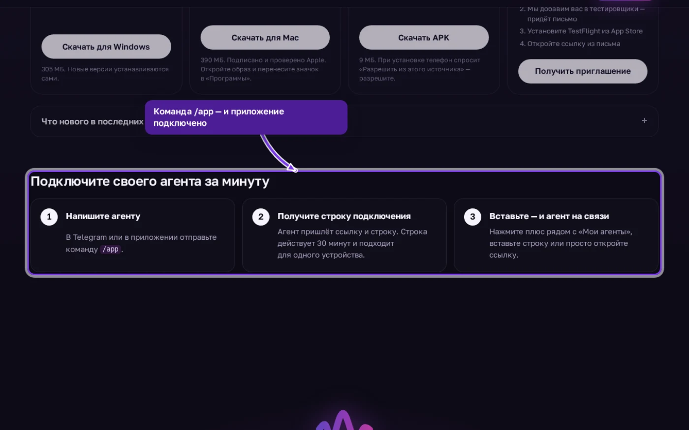 Три шага подключения агента: команда /app, строка подключения, вставка в приложение